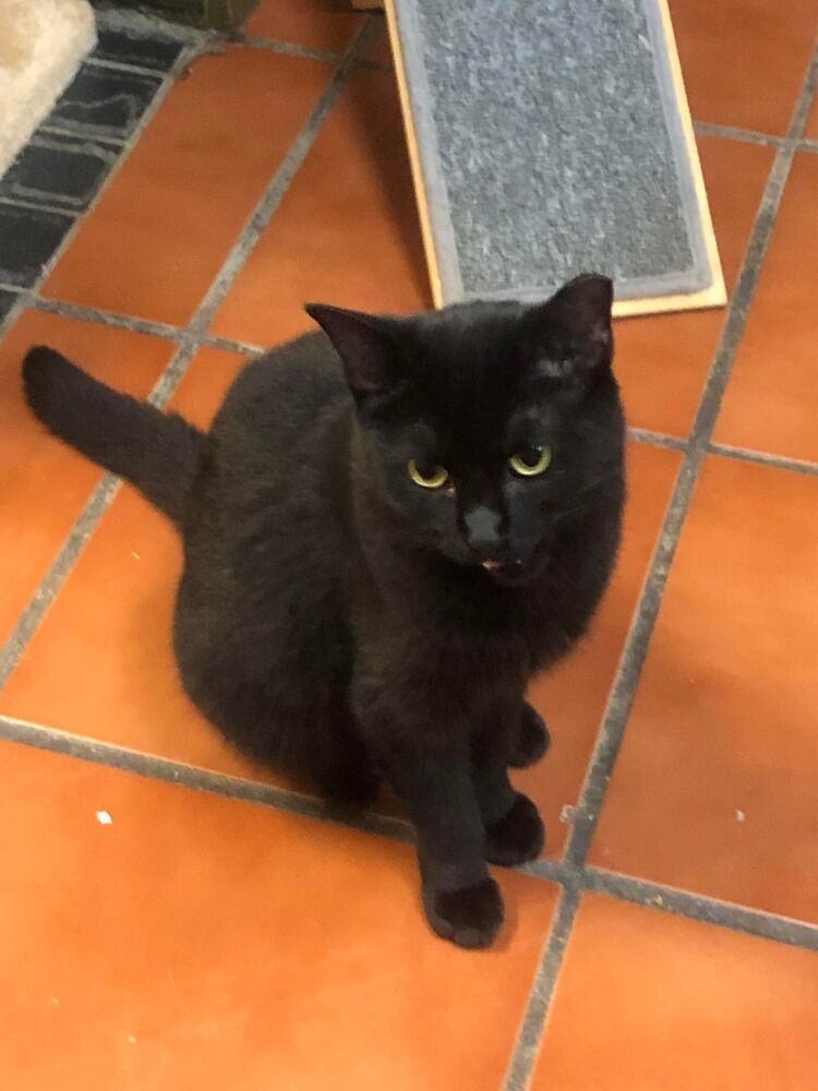 Axel